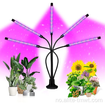 Grow Light med 3 modus LED -lampe